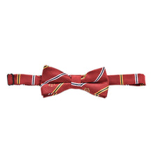 10 Designs Kids Tie Cute Lovely Sunflower Stripe Dot Bear Spiderman Print Adjustable Bowtie Classic Children Bow Tie EF8