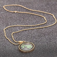 Dried Flower Clover Floating Locket Memory Living Pendant Necklace Gold Plated Jewelry   Plant Flower 60CM Chain Necklace EF8