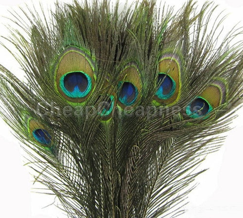 50pcs   Natural Peacock Eye Tail Feathers Beautiful Natural Feathers Wedding Party Home Hairs DIY Decoration EF8