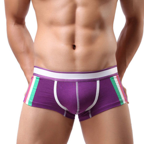 Amazmen's Sexy Underwear Men Boxer Shorts Underpants M L XL EF8