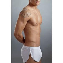 Men Nylon Sexy Briefs Bikini panties Shorts Underwear Briefs Brave Person EF8