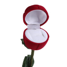 Earrings Storage Display Holder Jewelry Gift Box For Earrings Rings s 3D Red Rose Jewelry Box Wedding Ring Gift Case EF8