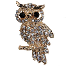 For Weddings S  Brooches Gold Plated Owl Style Shiny Crystal Inlay Lady Jewelry Rhinestone Brooches EF8