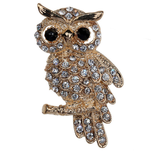 For Weddings S  Brooches Gold Plated Owl Style Shiny Crystal Inlay Lady Jewelry Rhinestone Brooches EF8