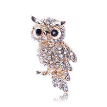 For Weddings S  Brooches Gold Plated Owl Style Shiny Crystal Inlay Lady Jewelry Rhinestone Brooches EF8