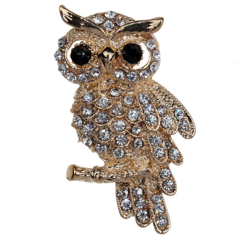 For Weddings S  Brooches Gold Plated Owl Style Shiny Crystal Inlay Lady Jewelry Rhinestone Brooches EF8