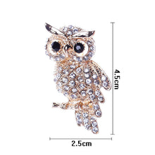For Weddings S  Brooches Gold Plated Owl Style Shiny Crystal Inlay Lady Jewelry Rhinestone Brooches EF8