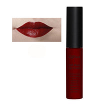 Makeup Waterproof Matte liquid lipstick Long Lasting lip gloss Lipstick sexy lipstick EF8