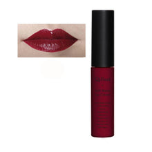 Makeup Waterproof Matte liquid lipstick Long Lasting lip gloss Lipstick sexy lipstick EF8