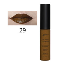 Makeup Waterproof Matte liquid lipstick Long Lasting lip gloss Lipstick sexy lipstick EF8