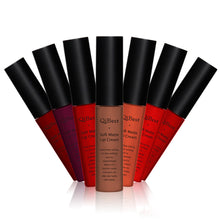 Makeup Waterproof Matte liquid lipstick Long Lasting lip gloss Lipstick sexy lipstick EF8