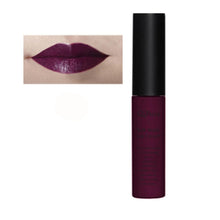 Makeup Waterproof Matte liquid lipstick Long Lasting lip gloss Lipstick sexy lipstick EF8