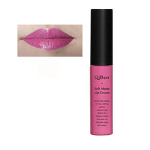 Makeup Waterproof Matte liquid lipstick Long Lasting lip gloss Lipstick sexy lipstick EF8