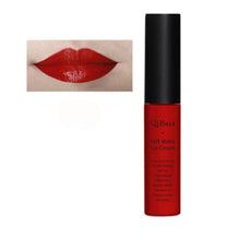 Makeup Waterproof Matte liquid lipstick Long Lasting lip gloss Lipstick sexy lipstick EF8