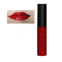 Makeup Waterproof Matte liquid lipstick Long Lasting lip gloss Lipstick sexy lipstick EF8