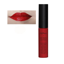 Makeup Waterproof Matte liquid lipstick Long Lasting lip gloss Lipstick sexy lipstick EF8