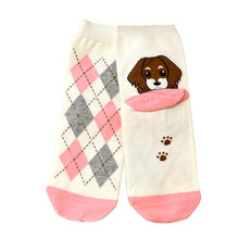 3D Animals Cartoon Socks Women Puppy Footprints Floor Cotton sock Women's Casual Charactor Socks EF8