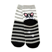 3D Animals Cartoon Socks Women Puppy Footprints Floor Cotton sock Women's Casual Charactor Socks EF8