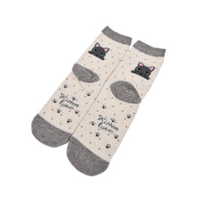 Design Cute Cartoon Cat Socks Striped Pattern Women Cotton Sock  EF8