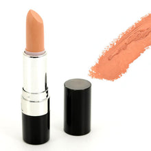 Popfeel 20 Colors Choice Makeup Matte Lipstick Lip Gloss Pencil Beauty Long Lasting Makeup Lipstick Lip Gloss Maquiagem EF8