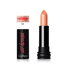 48 Colors Waterproof Long Lasting Nude Matte Vampire Style Cosmetics Makeup Lipstick Lipgloss Lip Gloss Lips Makeup EF8