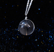 D elion Seeds Wish bottle Necklace Bottle Botanical Pendant Chain Necklace Gifts For Women s  EF8