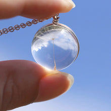 D elion Seeds Wish bottle Necklace Bottle Botanical Pendant Chain Necklace Gifts For Women s  EF8