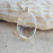 D elion Seeds Wish bottle Necklace Bottle Botanical Pendant Chain Necklace Gifts For Women s  EF8