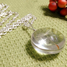 D elion Seeds Wish bottle Necklace Bottle Botanical Pendant Chain Necklace Gifts For Women s  EF8