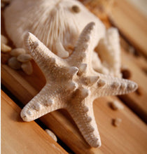 Europe Fashion Women Lady Girls Pretty Natural Starfish Star Beige Hair Clipping EF8